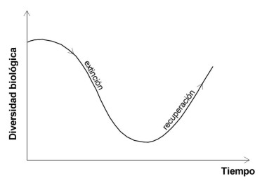 grafica-evolucion