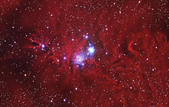 Imagen del día - ESV